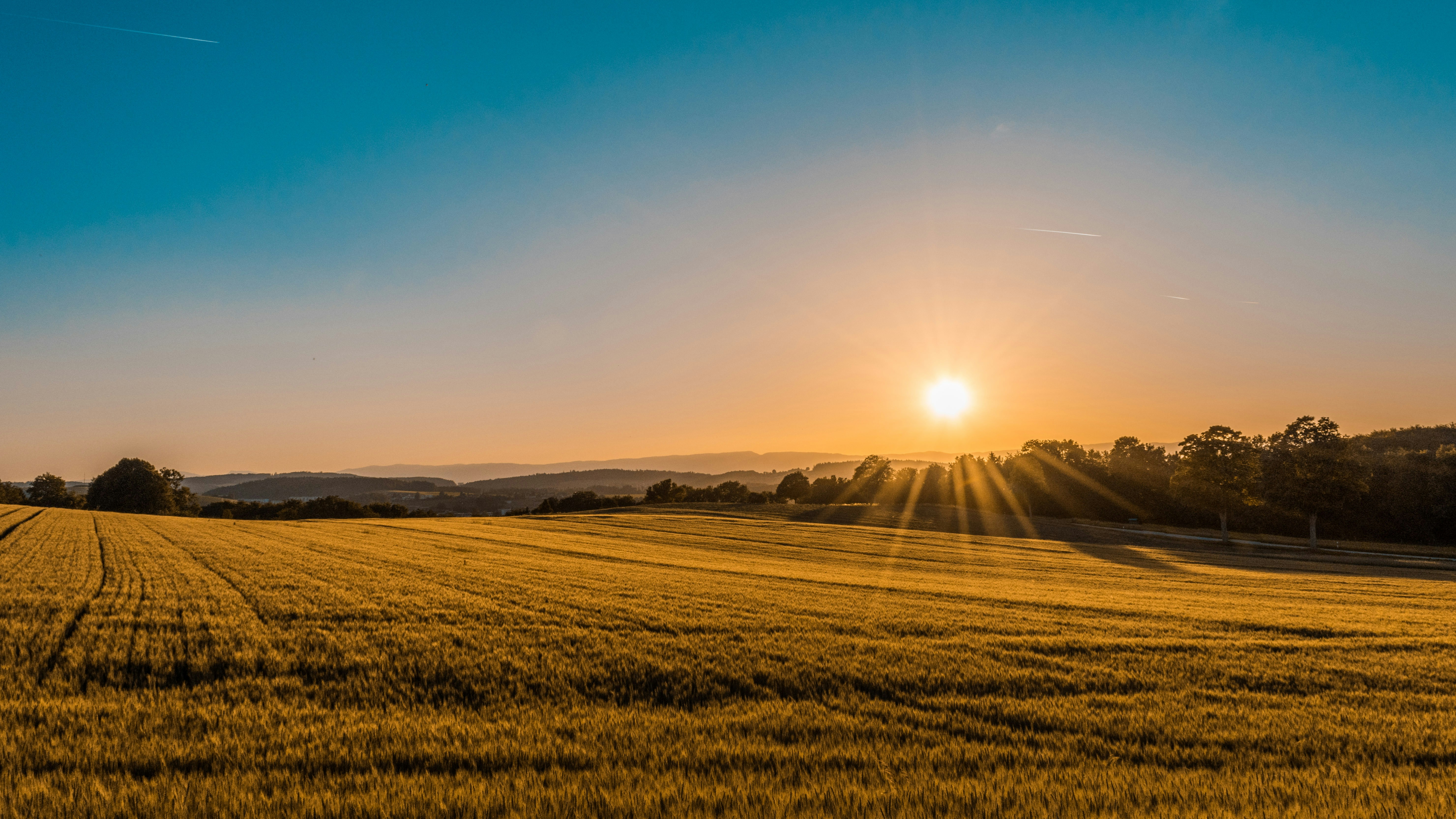 Agribusiness - Astris Law Brisbane commercial lawyers