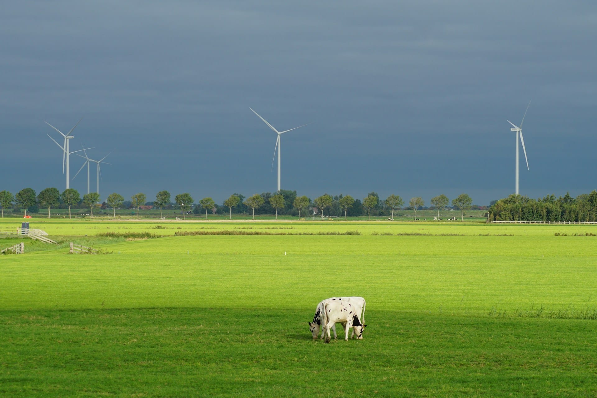 Energy, Resources & Utilities - Astris Law Brisbane commercial law firm